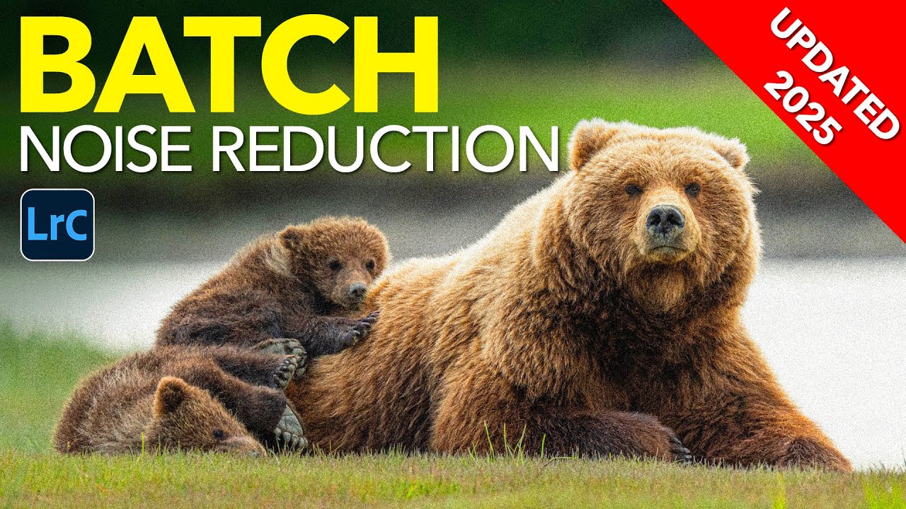 Batch AI Noise Reduction in Lightroom Classic Finally Works the Way It Should