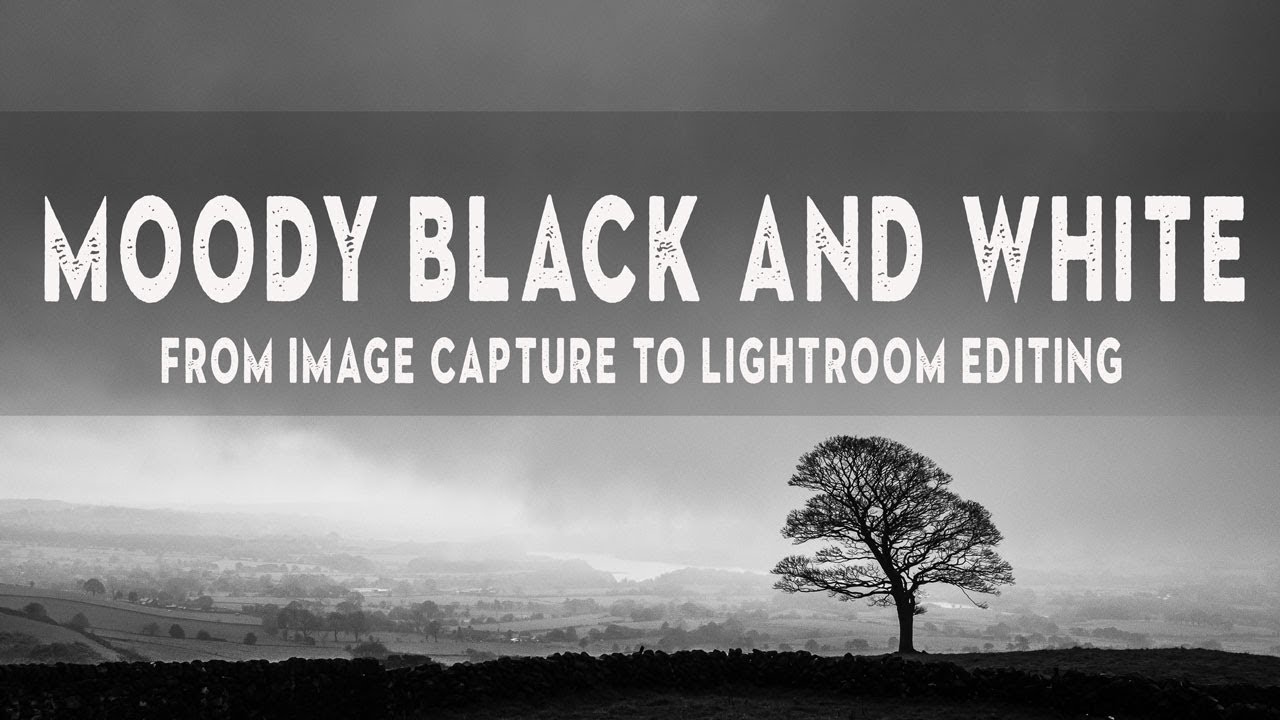Dramatic Black & White Landscapes in Lightroom: What I Learned From Shooting in a Downpour