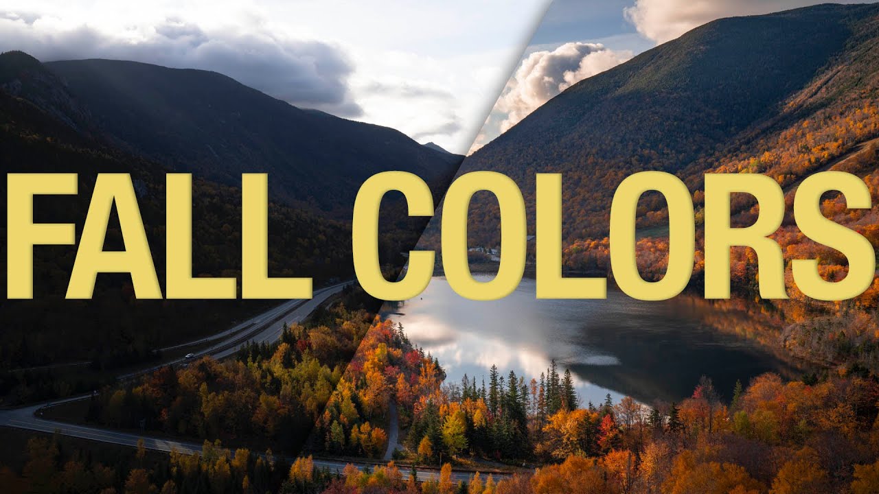 Fall Color Editing Is Harder Than It Looks — Here's How to Actually Get It Right