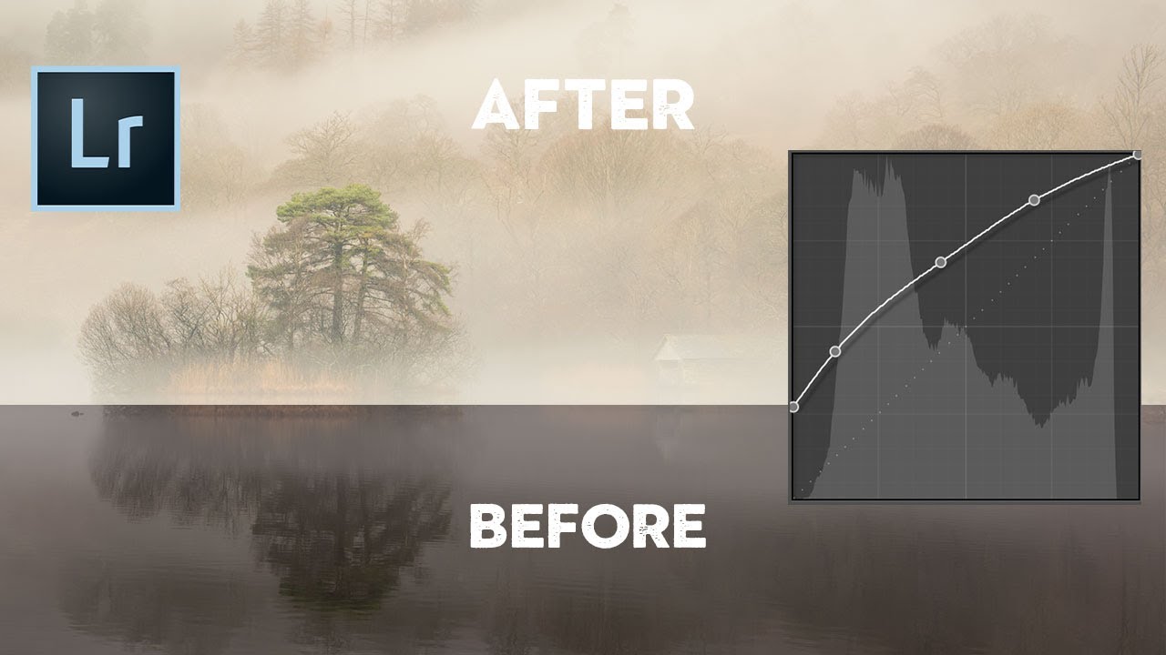 How Lightroom's Tone Curve Actually Works (And Why It's Not as Scary as It Looks)