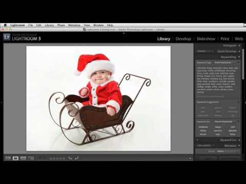 How to Build Holiday Photo Templates in Lightroom (Starting in Photoshop)