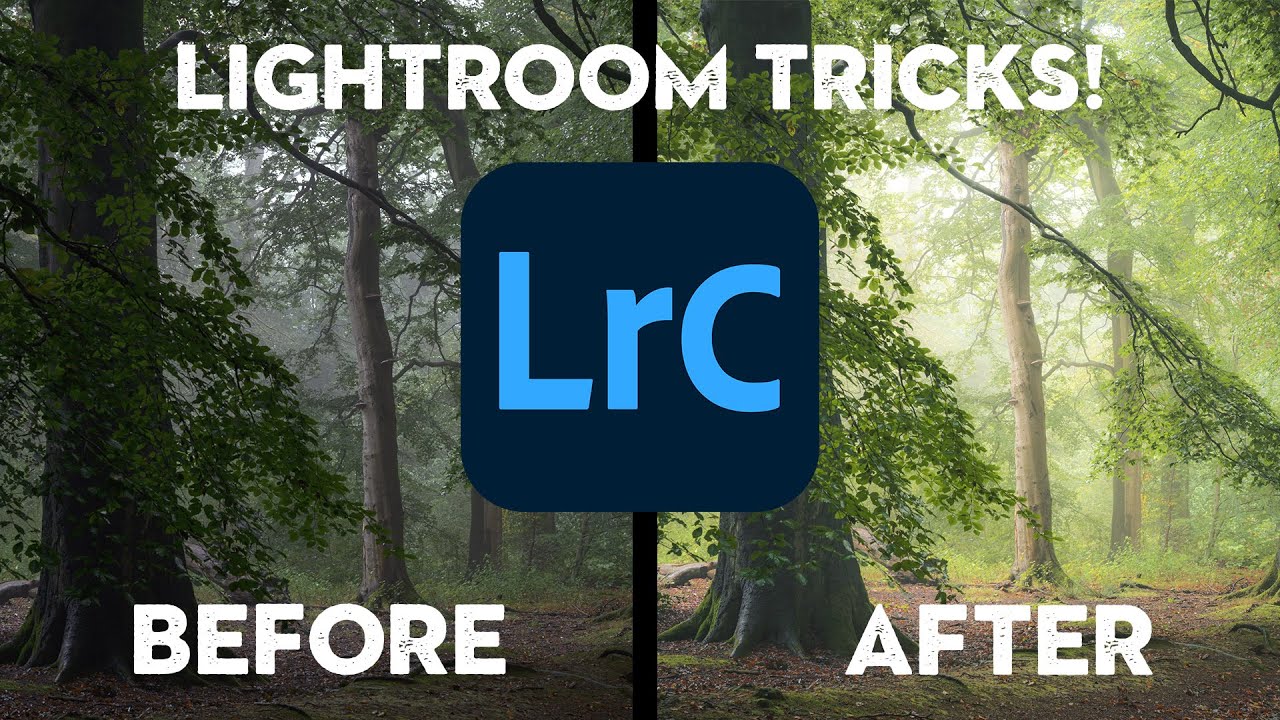 How to Make Your Woodland Photos Look Like Paintings Using Only Lightroom