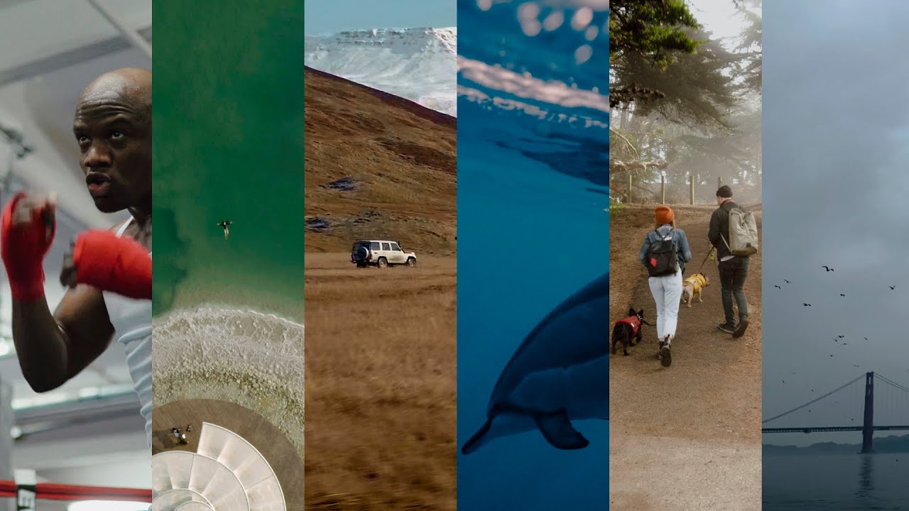 How to Use LUTs for Cinematic Color Grading in Premiere (Without Wrecking Your Footage)