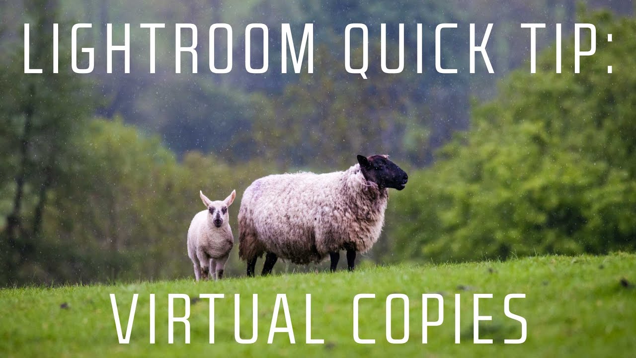 Lightroom Virtual Copies: The Fastest Way to Experiment Without Wrecking Your Edits