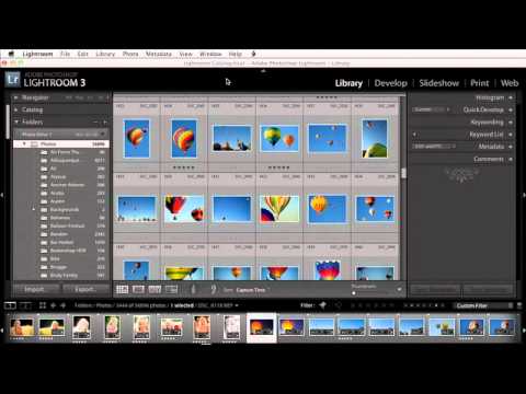 Lightroom Won't Auto-Watermark by Year — But Here's the Workaround That Actually Works