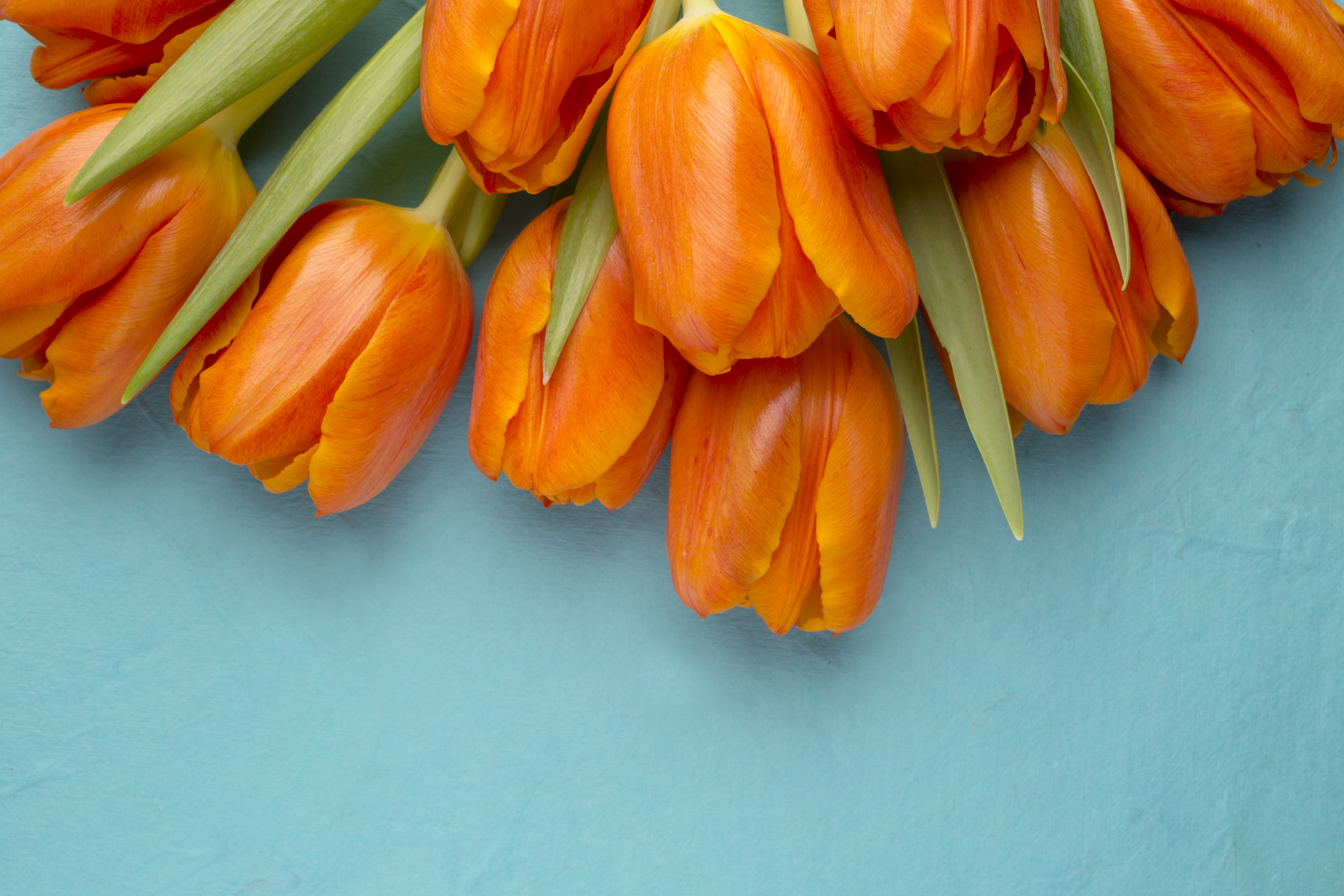 Nik Collection 9 Gets a Major Overhaul: AI-Powered Color Grading Arrives