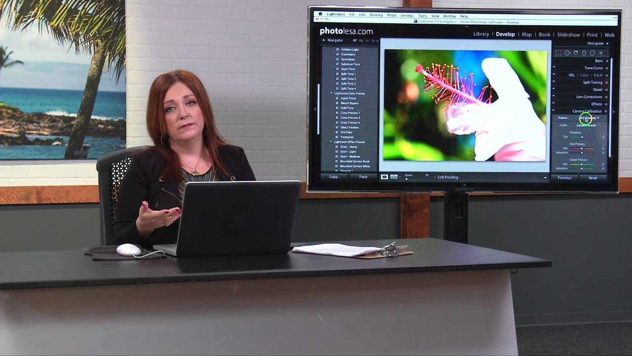 Stop Blaming Your Edits — The Color Shift Is Coming From Your Camera Profile
