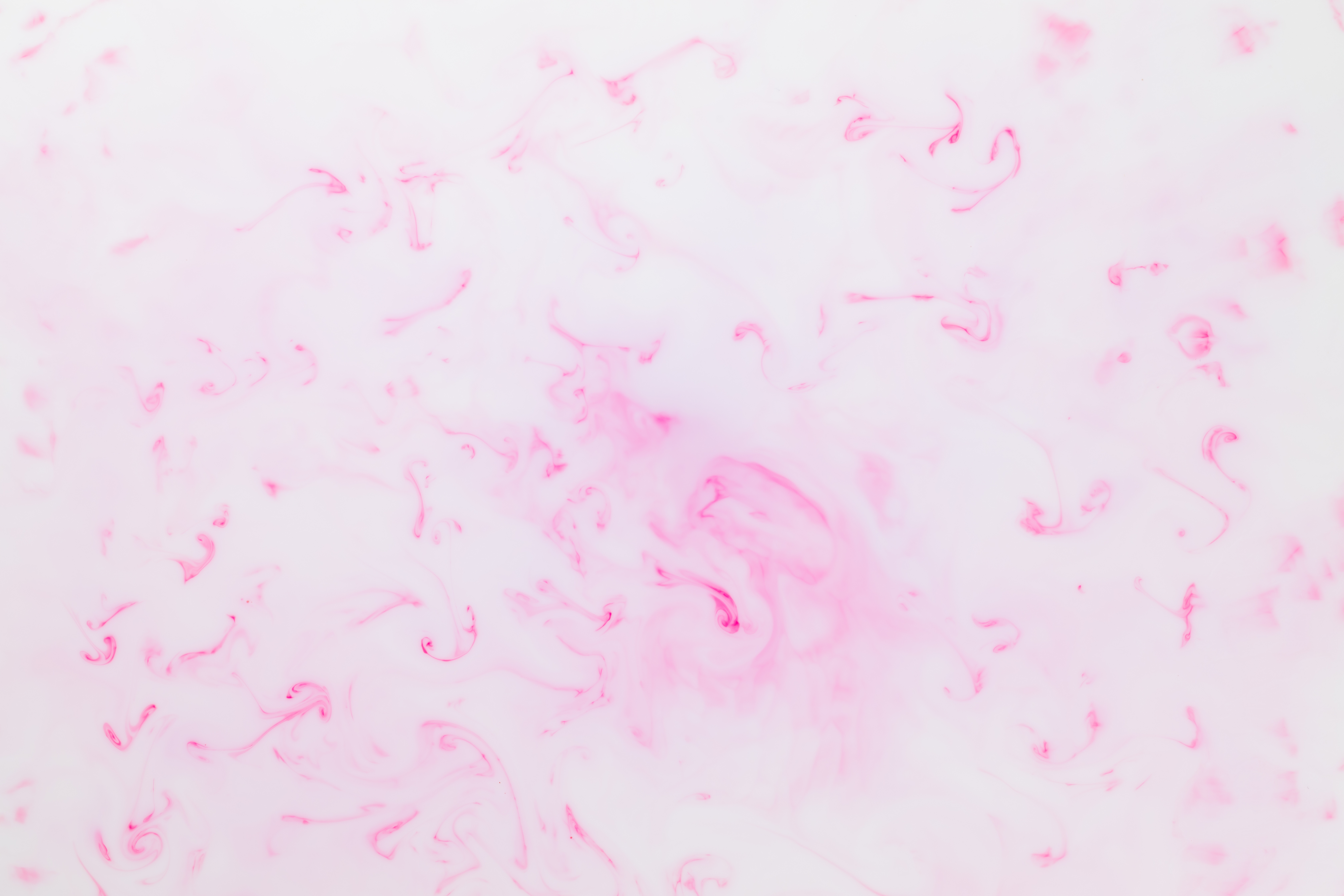 The Golden Age of Photography: Why Orotone Is Having Its Moment