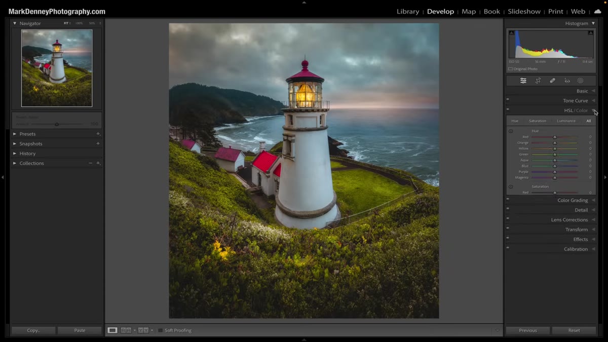 HSL panel open with targeted adjustment tool icon highlighted