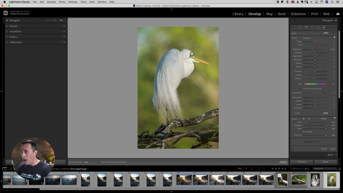 Adjustment brush selected with exposure pulled down in panel