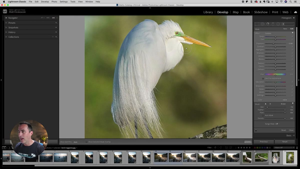 Brush edge following bird feathers with Auto Mask engaged