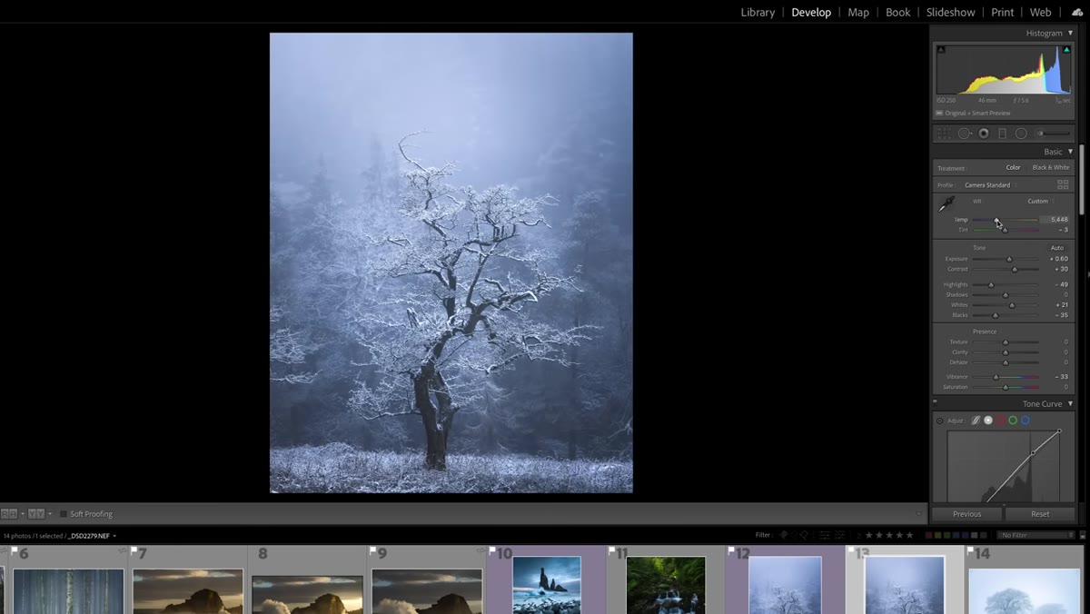 White balance slider being adjusted on a snowy winter landscape