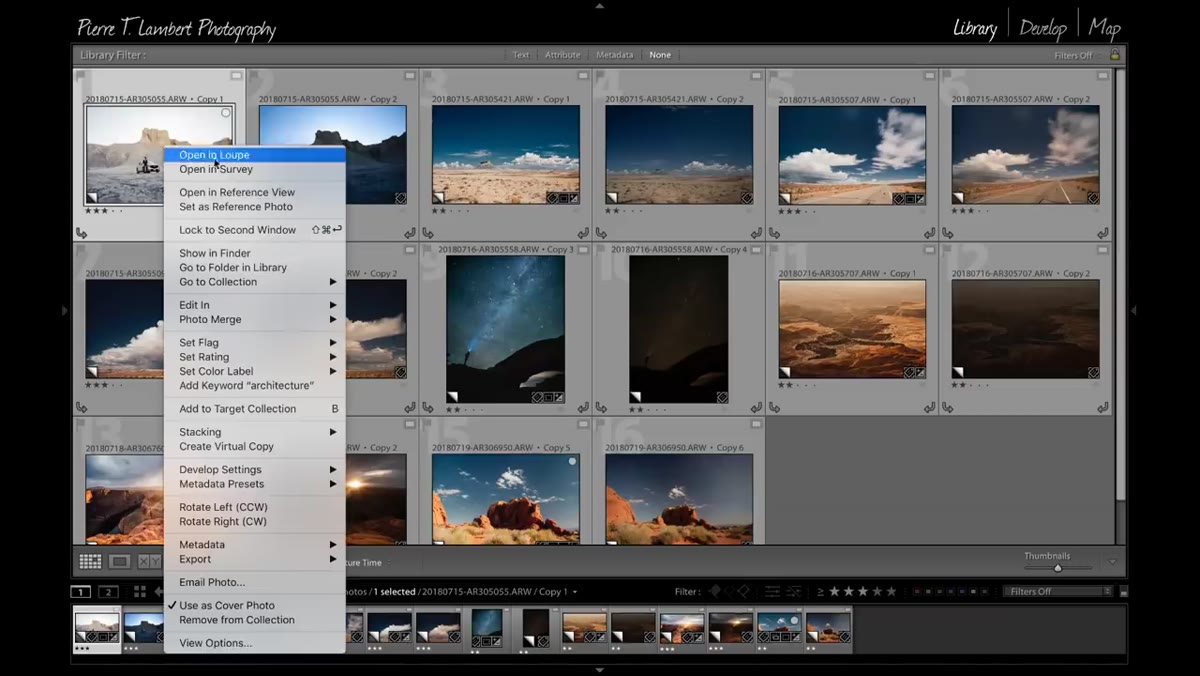 Two versions of the same image side by side in Library grid with copy badge