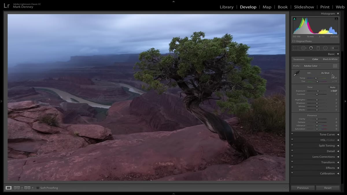 Basic panel sliders being adjusted for overall exposure balance
