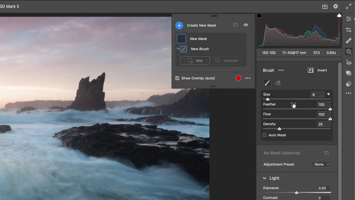 Brush tool selected with density, feather, and flow settings visible