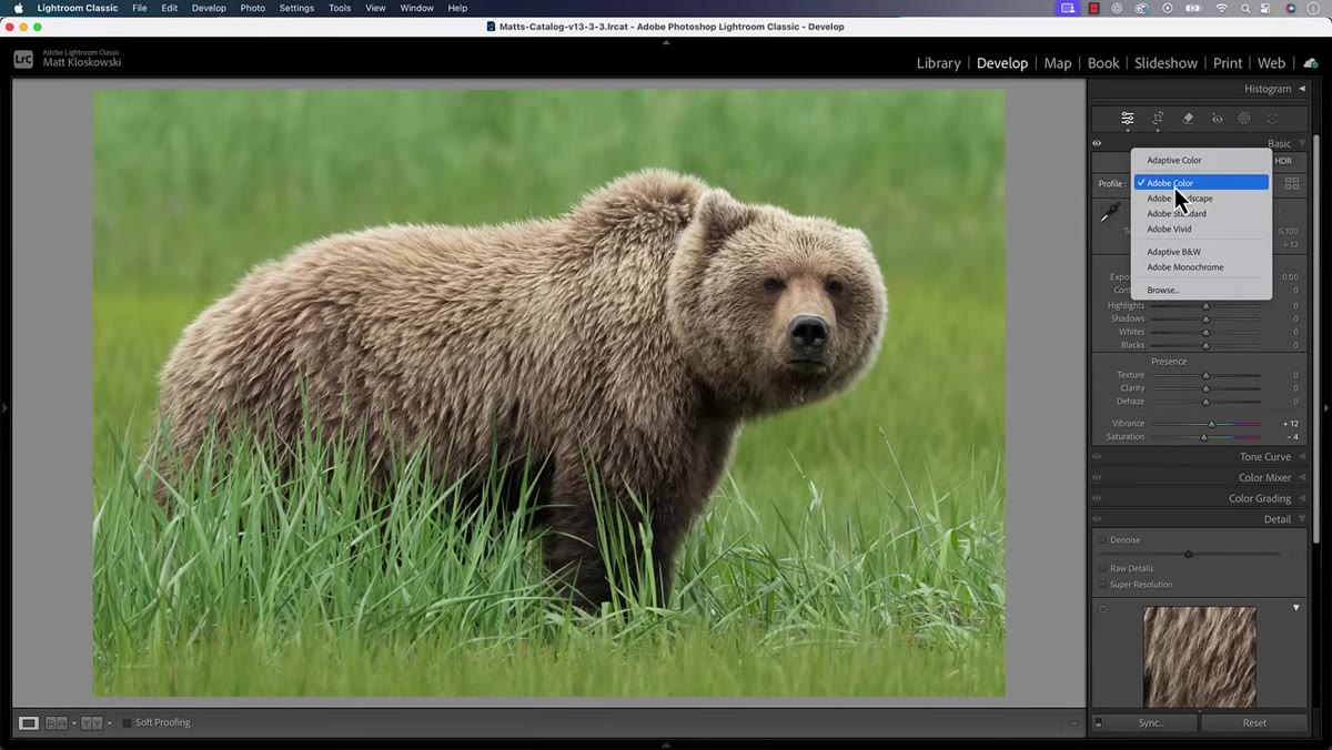 Develop module open with profile, exposure, and shadow adjustments applied