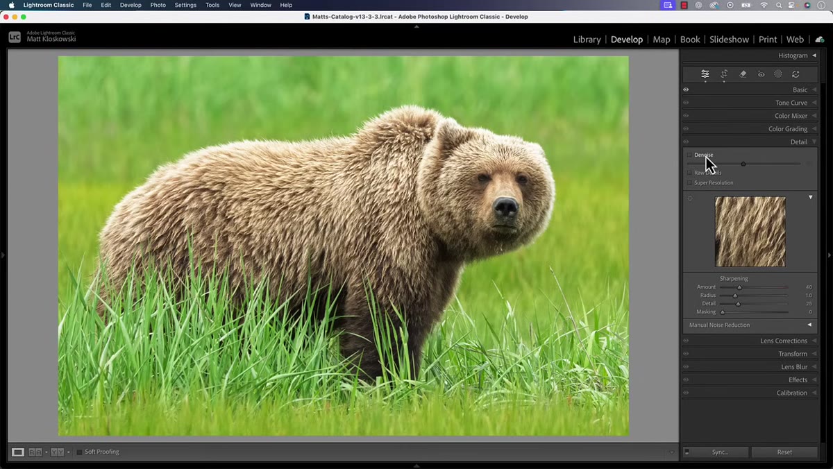 Detail panel open with Denoise toggle being activated on raw file