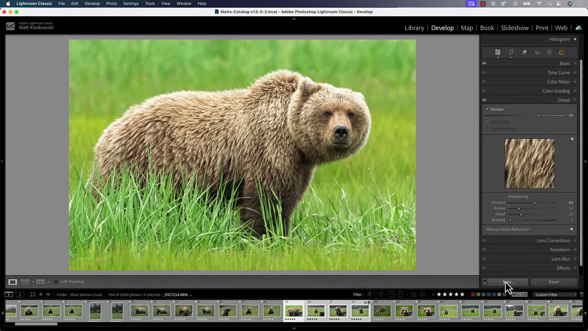 Sync button visible in Develop module with multiple photos selected in filmstrip