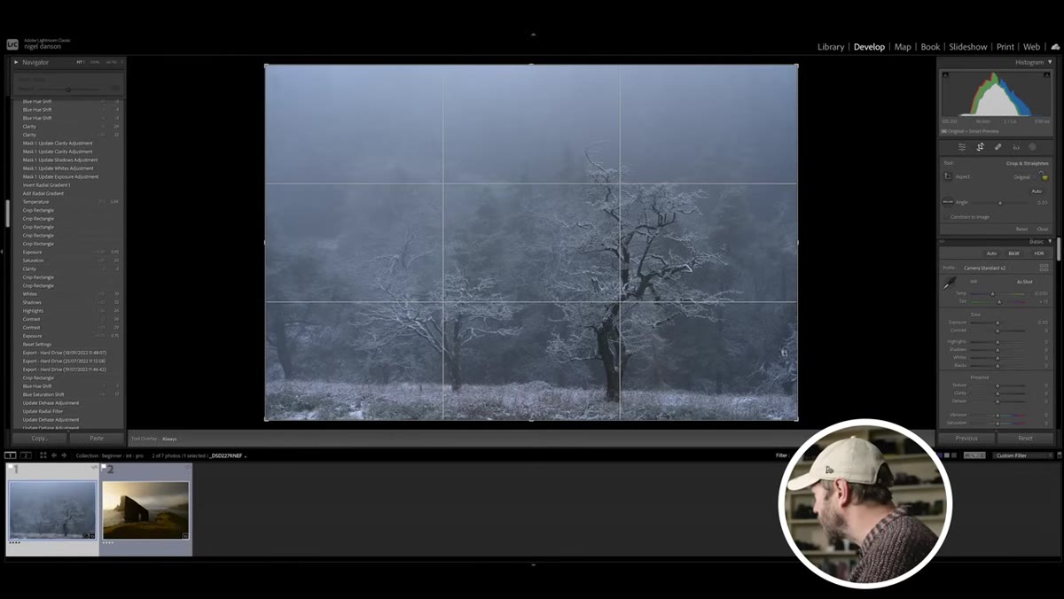 Lightroom crop tool applied to snowy tree image