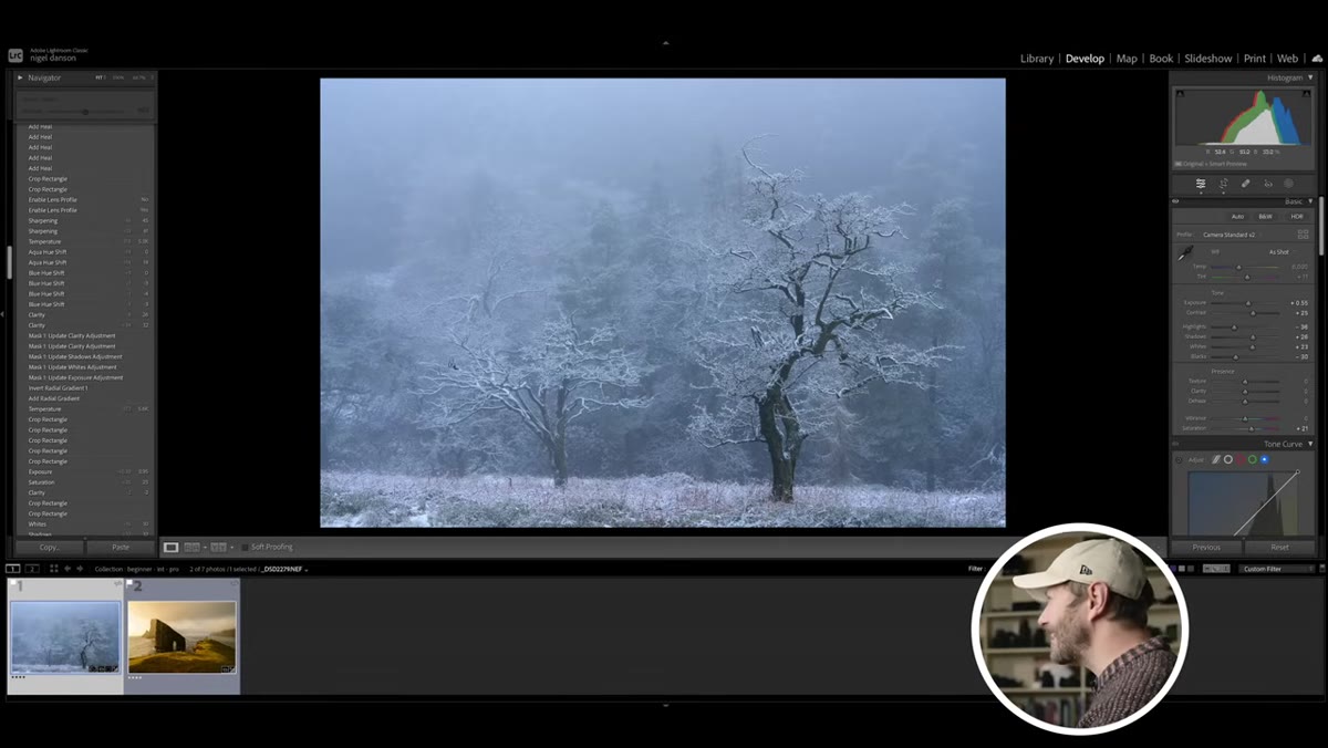 Crop being reconsidered to remove distracting branch
