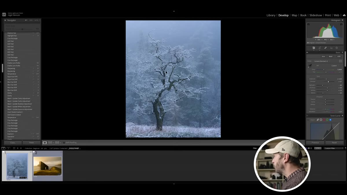 HSL panel open with individual color channels adjusted