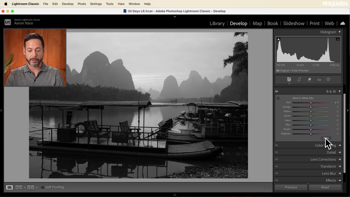 Auto button in B&W Mix panel, sliders adjusted automatically