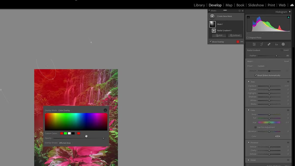 Mask overlay color panel open with opacity slider cranked up