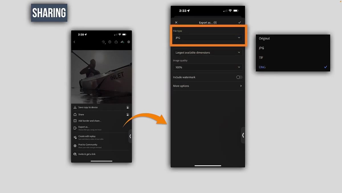 File type selection showing JPEG, TIFF, DNG options