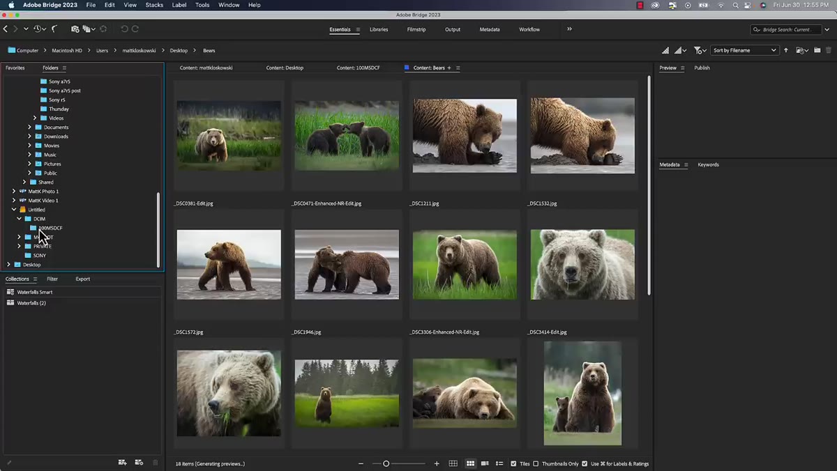 Card reader visible in Bridge&rsquo;s folder panel, thumbnails loading