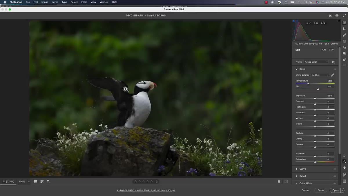 Adobe Camera Raw open after double-clicking raw file in Bridge