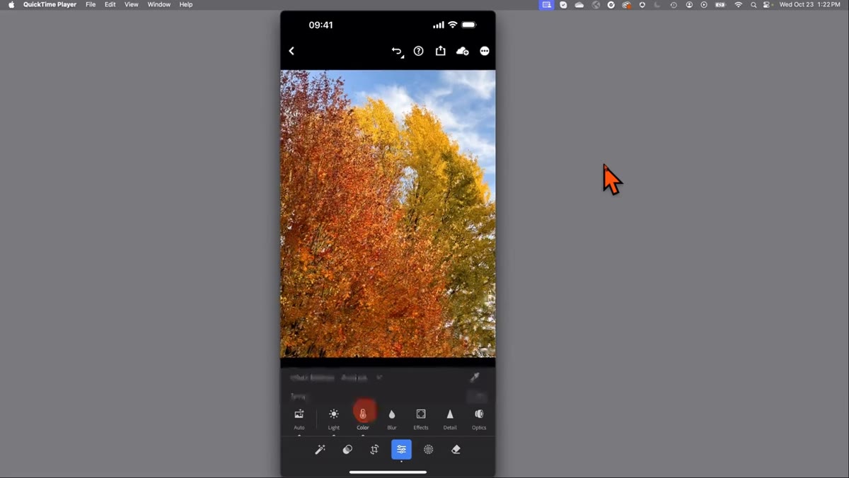 Auto button selected with Vibrance slider visible in color panel