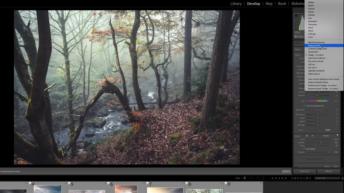Brush preset selected for bark and tree texture in woodland image
