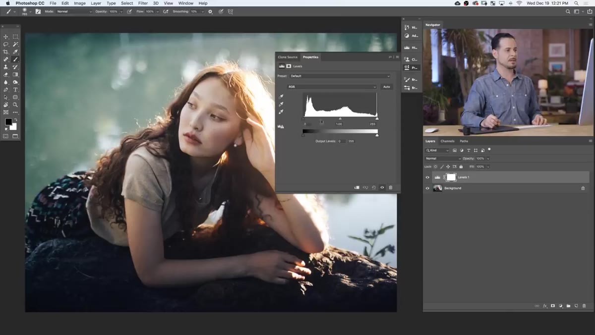 Levels panel showing input and output sliders with histogram