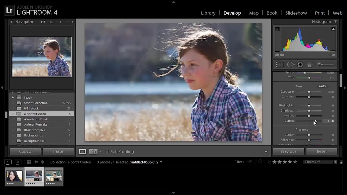 Blacks slider being raised, shadow detail appearing in face