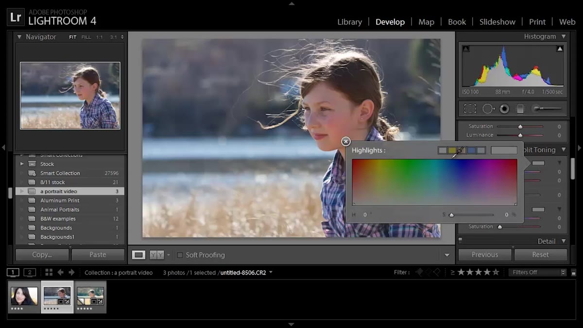 Split Toning panel open, hue selected for highlights