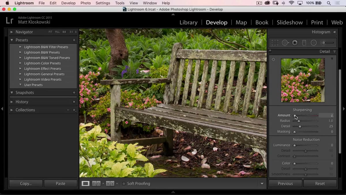 Detail panel open with Sharpening slider being adjusted at 100% zoom