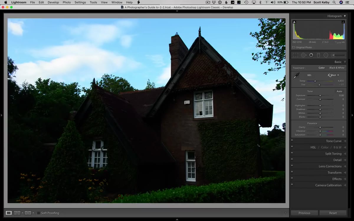 Basic panel after Auto button applied, shadows and contrast sliders visible