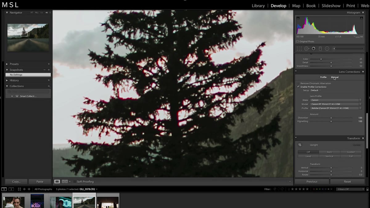 Manual tab open in Lens Corrections with Fringe sliders visible