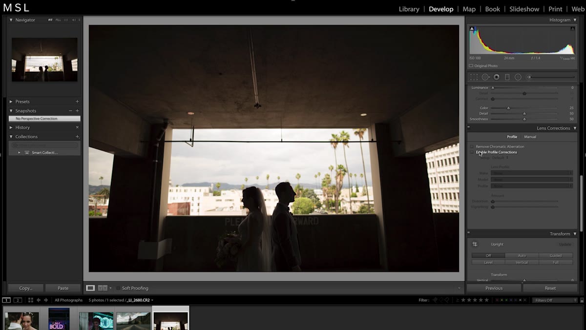 Profile tab in Lens Corrections with Enable Profile Corrections checked