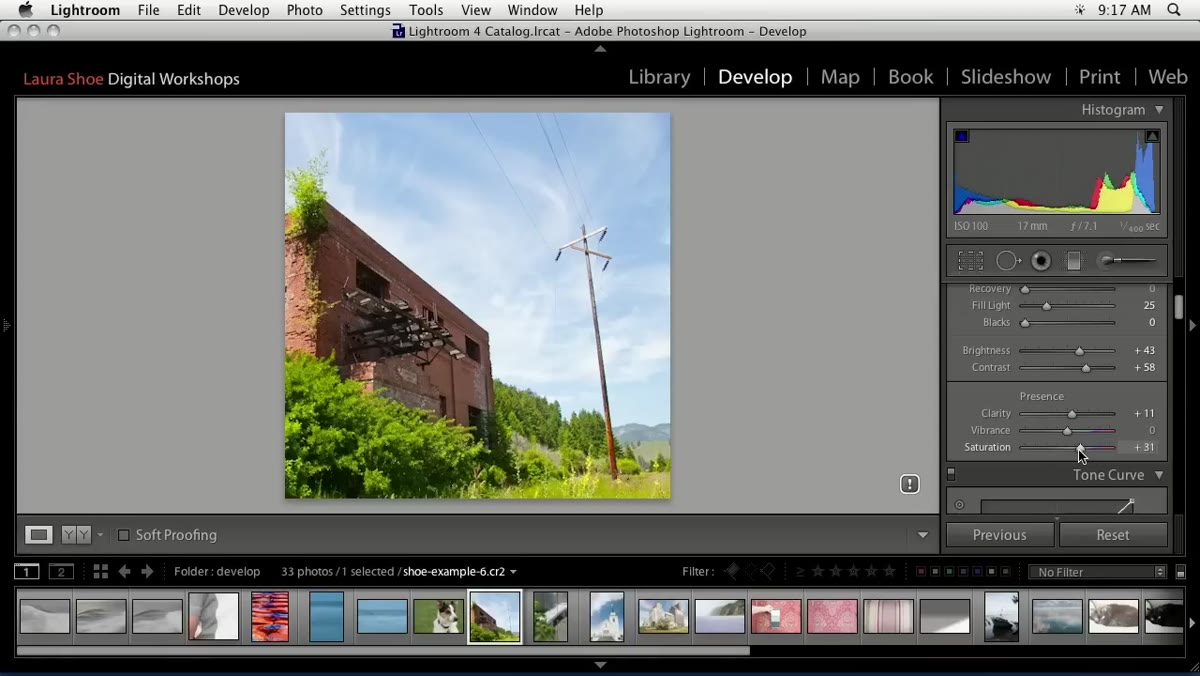 Vibrance slider being reset after affecting colors unevenly