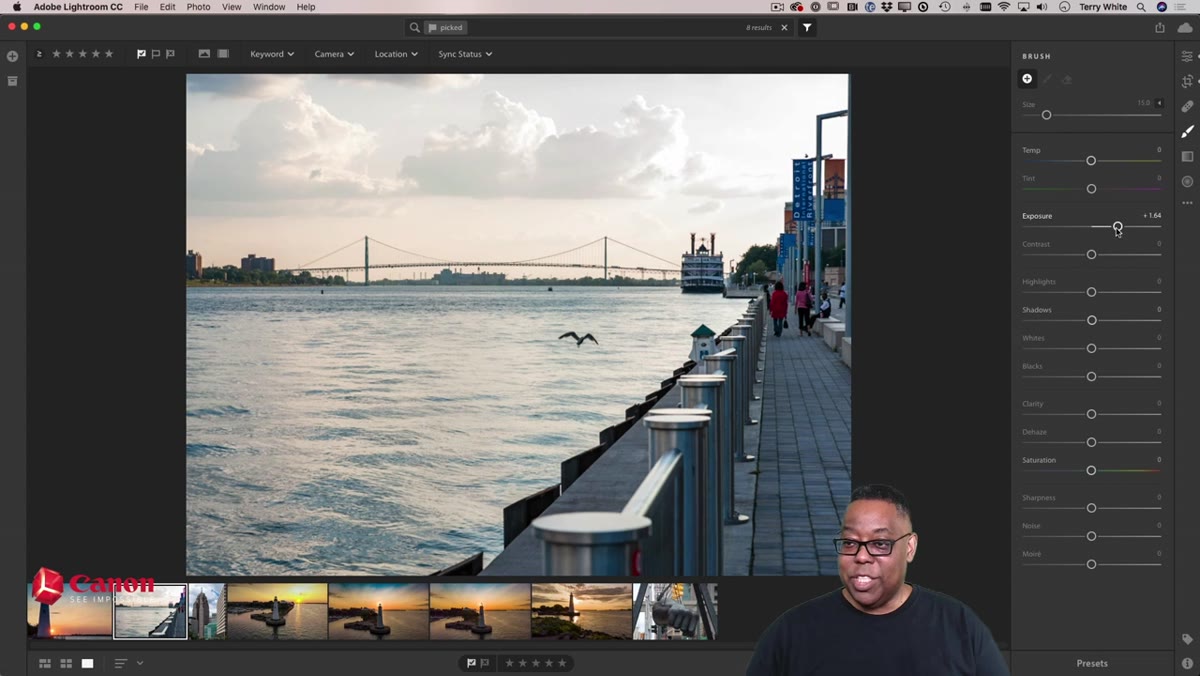 Adjustment Brush active, stroke being painted over darker area of image