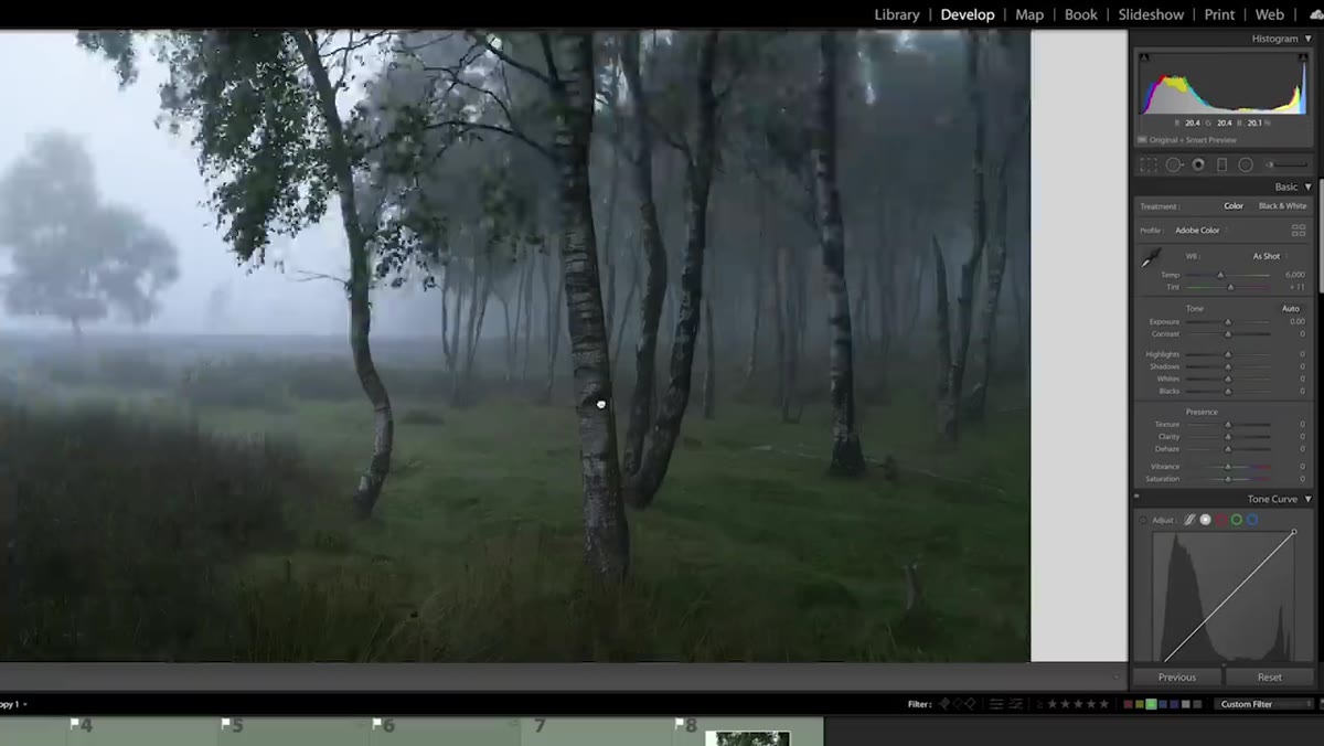 caption: Zooming in to check sharpness on foreground tree