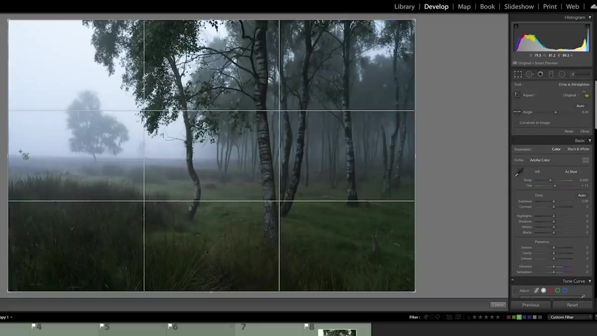 caption: Crop tool active with slight rotation applied
