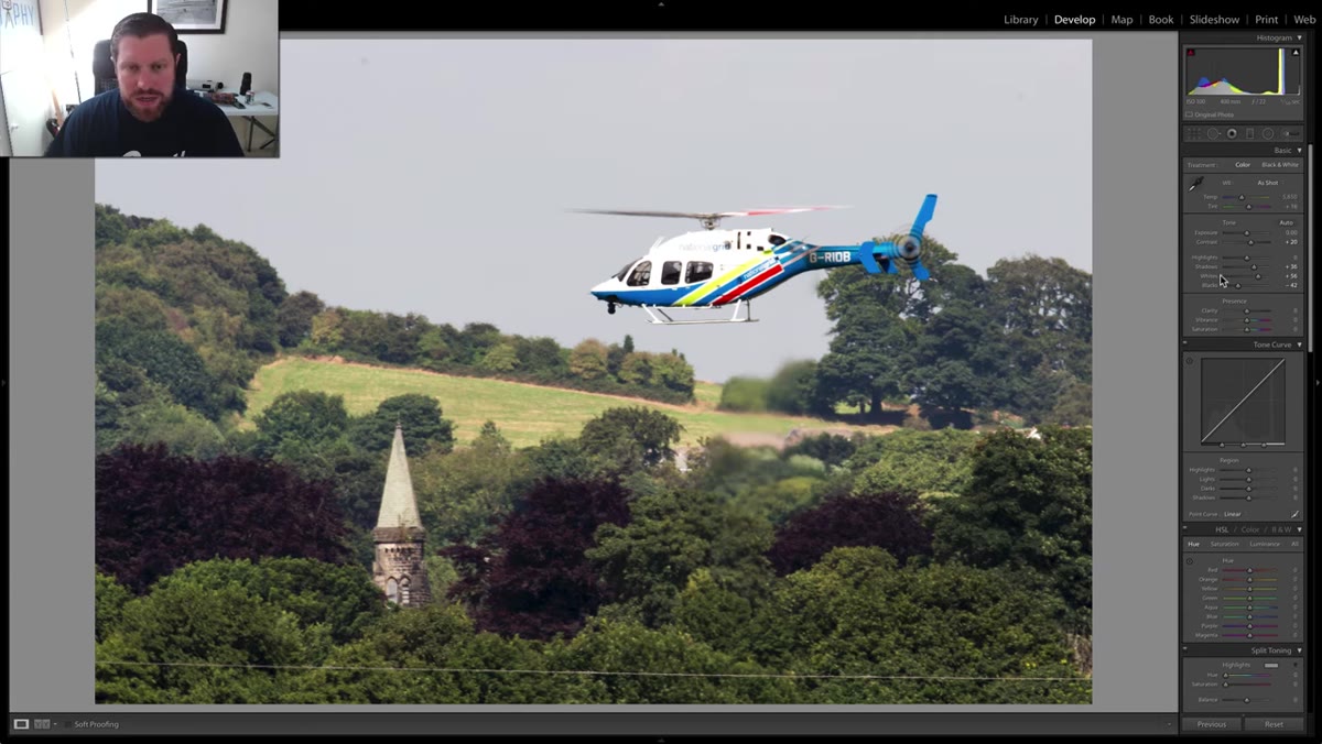 Vibrance and Saturation sliders both raised in the Basic panel