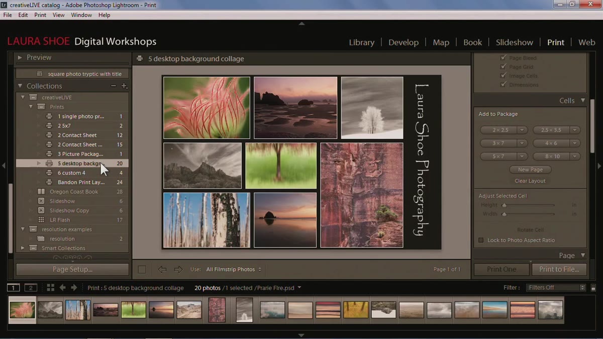 Custom layout with freeform photo placement on a page