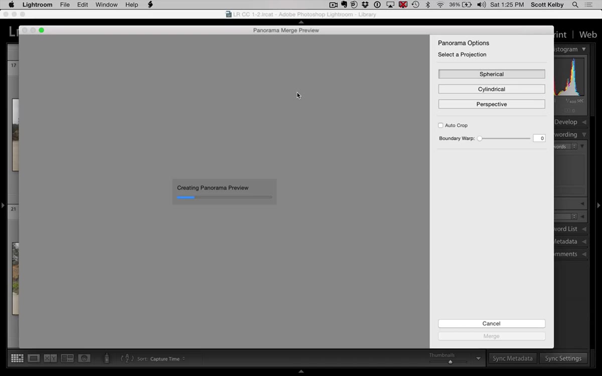 Panorama merge preview dialog showing final stitched result