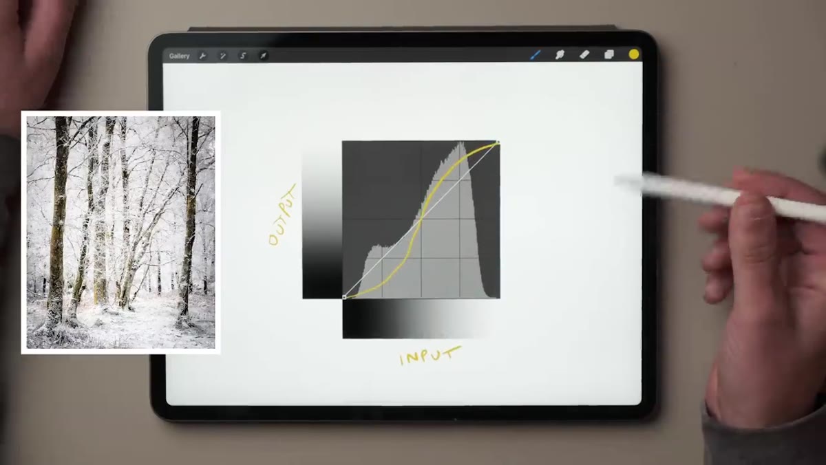 S-curve shape on tone curve panel showing contrast boost