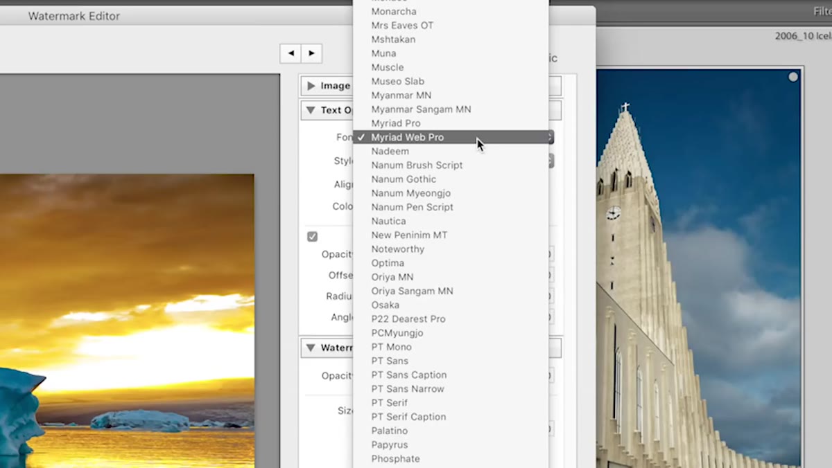 Choosing font, style, and color in the text options panel