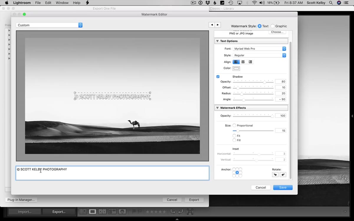 Font selector and text options panel on the right side of the editor