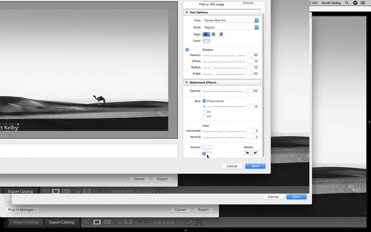 Anchor grid in the lower portion of the Watermark Editor panel